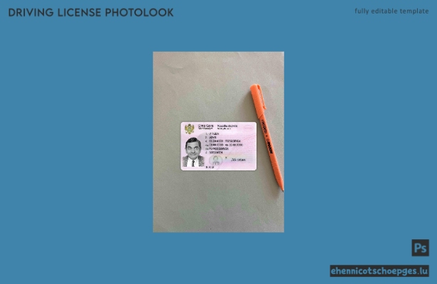 Beispielvorschau für das Foto des montenegrinischen Führerscheins
